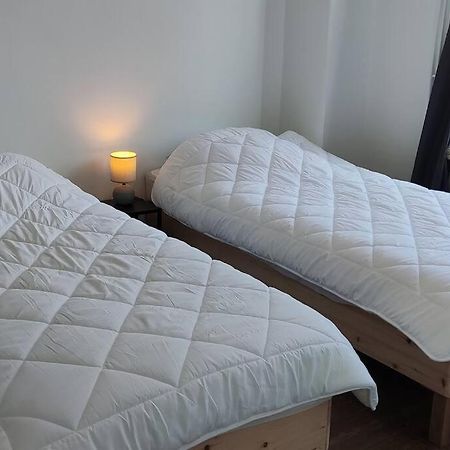 Maison Ronchin/Lille - Proche Toutes Commodites Eksteriør billede