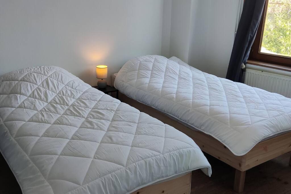 Maison Ronchin/Lille - Proche Toutes Commodites Eksteriør billede